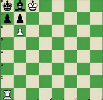 معمای مهره های شطرنج