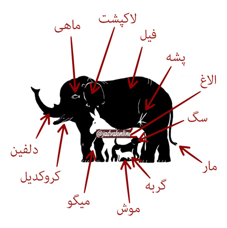 پاسخ معمای تصویری